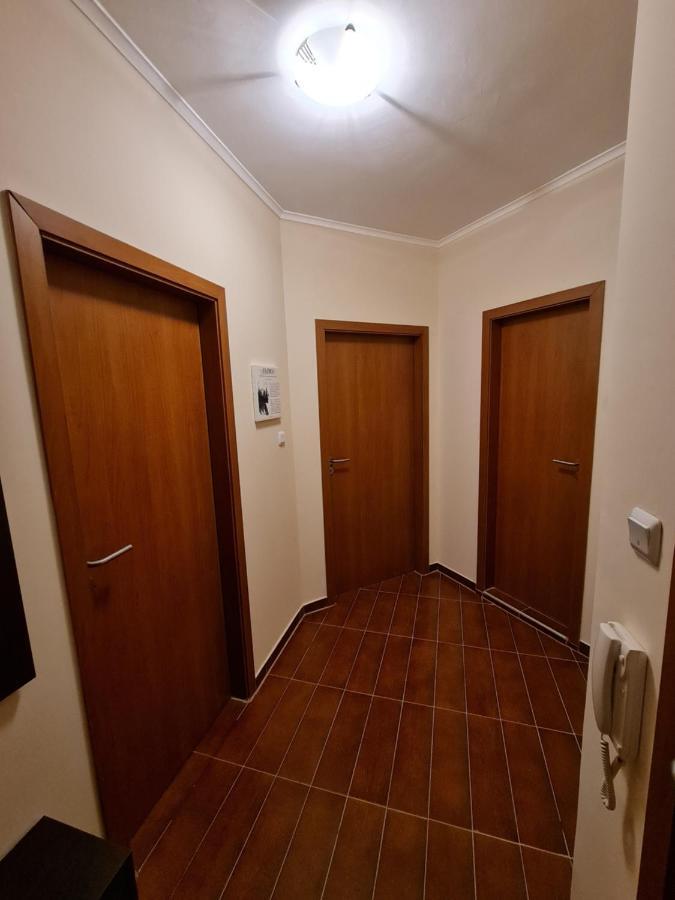 Bansko Vibes Apartments - Flora Boutique Экстерьер фото